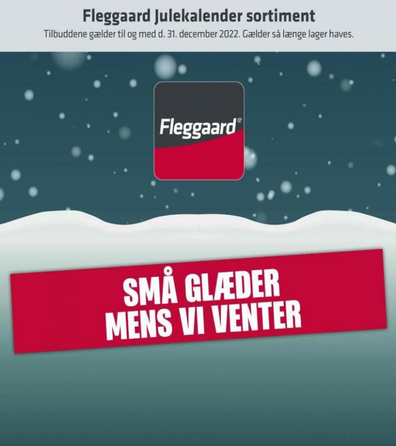 Julekalender 2022. Fleggaard (2022-12-31-2022-12-31)