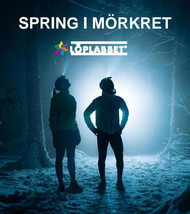 Spring I Mörkret. Löplabbet (2022-11-19-2022-11-19)