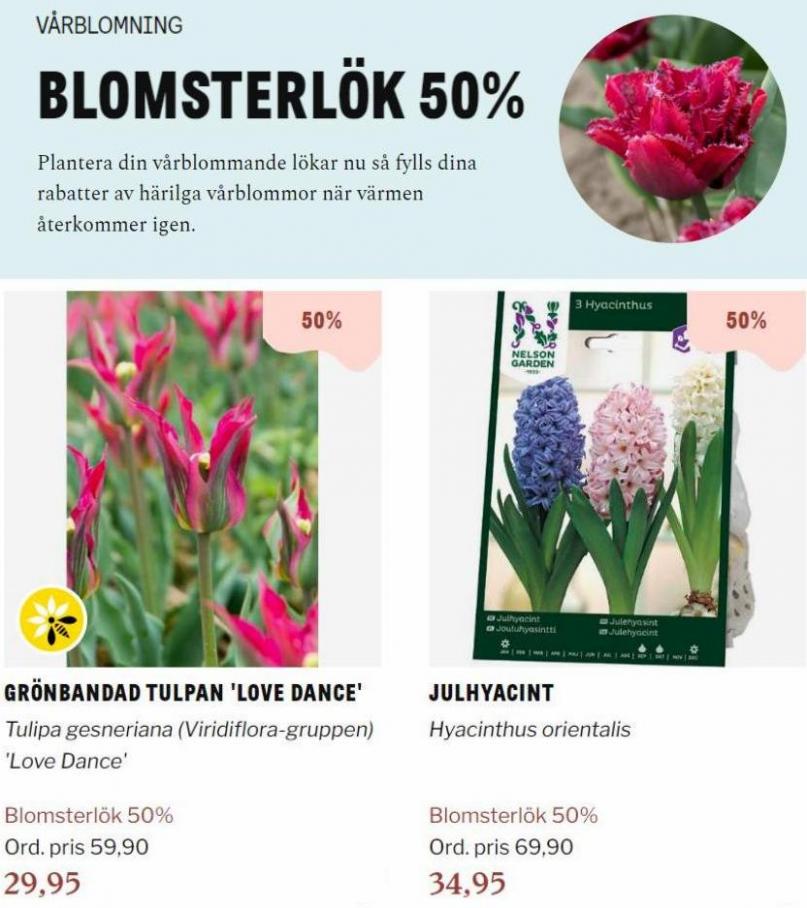 Blomsterlandet Erbjudande Aktuell Kampanj. Page 12