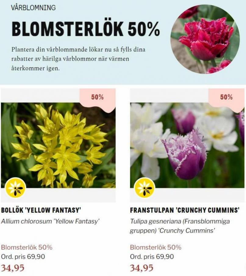 Blomsterlandet Erbjudande Aktuell Kampanj. Page 11
