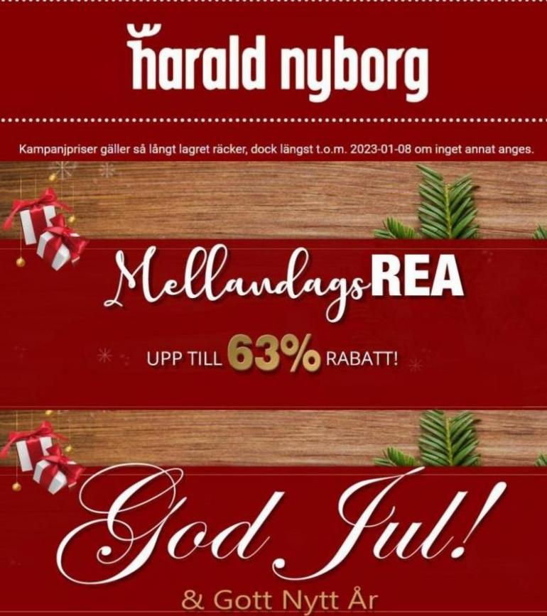 MellandagsREA. Harald Nyborg (2023-01-08-2023-01-08)