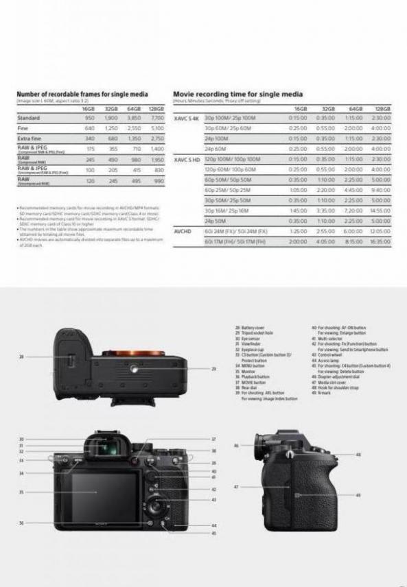 Sony A7R IV. Page 31