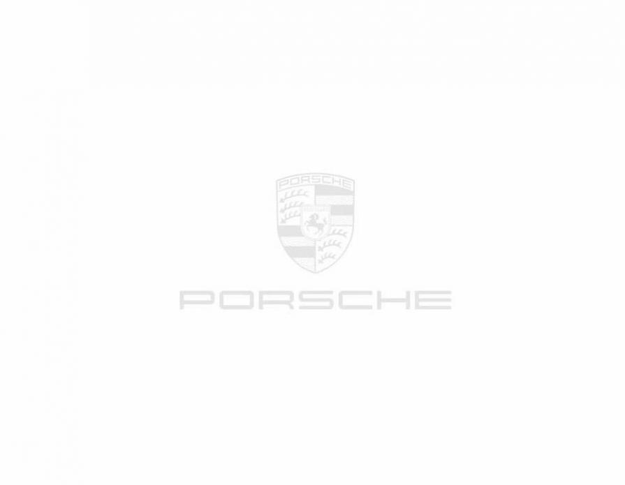 Porsche 718 Cayman GT4. Page 88