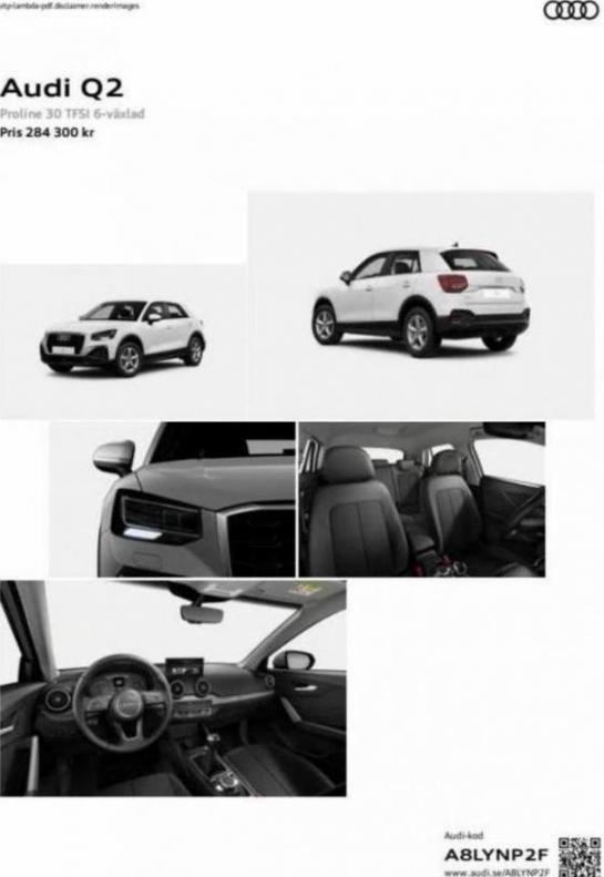Audi Q2. Audi (2024-01-08-2024-01-08)