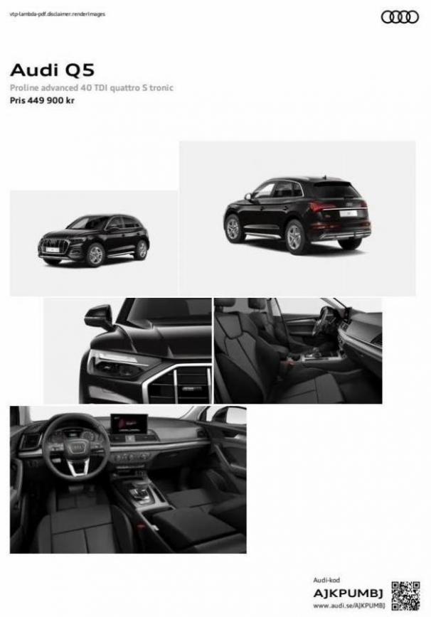 Audi Q5. Audi (2024-01-31-2024-01-31)