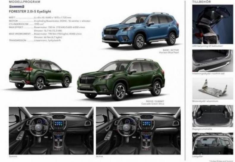 Subaru Forester. Page 13