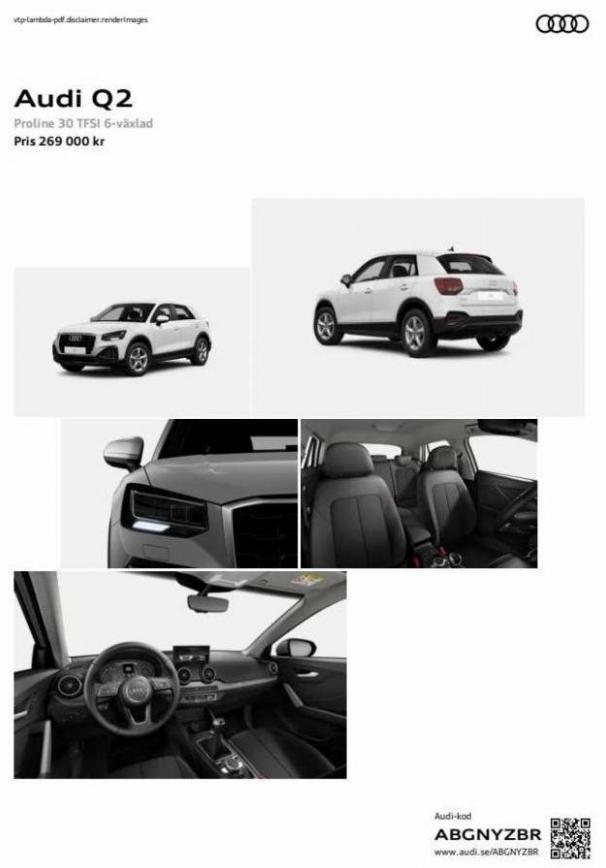 Audi Q2. Audi (2024-01-31-2024-01-31)