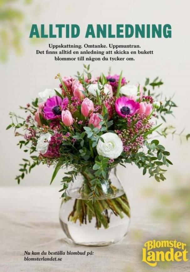 Blomsterlandet Erbjudande Grönska. Page 15