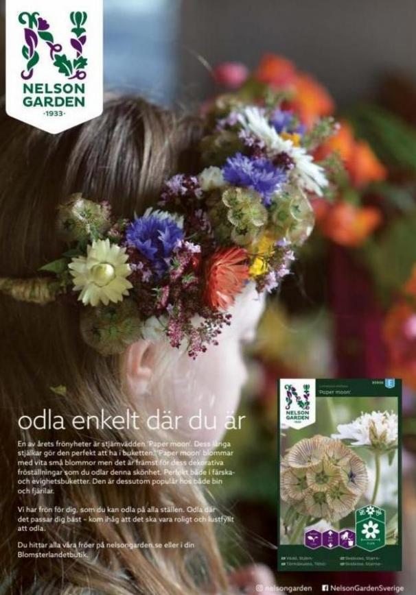 Blomsterlandet Erbjudande Grönska. Page 5