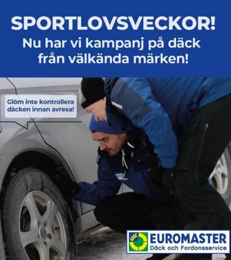 Euromaster Erbjudande Kampanjer. Page 12