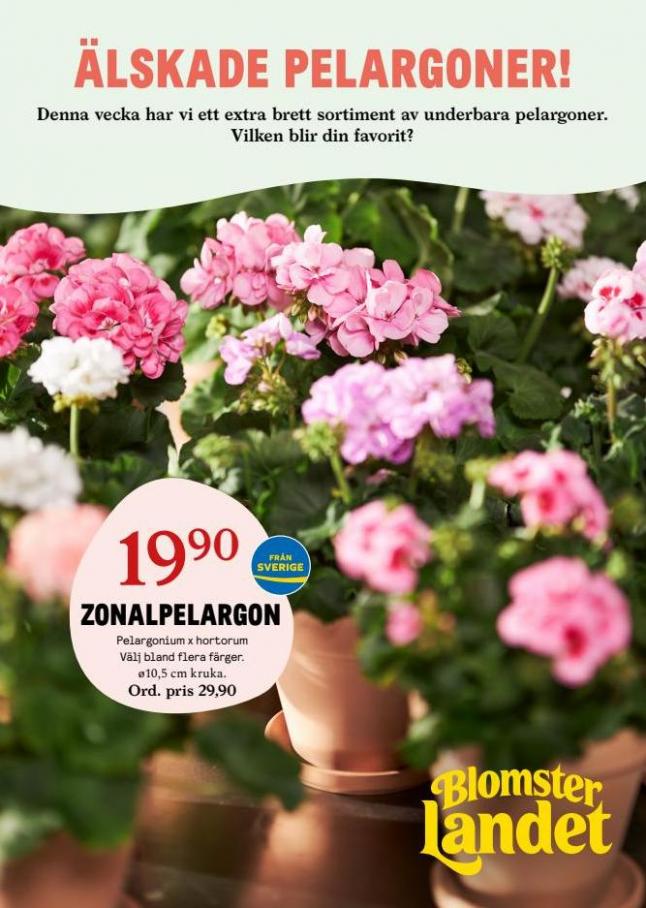 Blomsterlandet Erbjudande Aktuell Kampanj. Blomsterlandet (2023-04-16-2023-04-16)