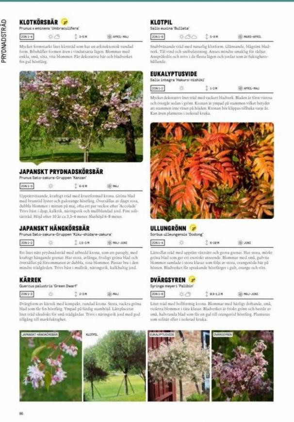Blomsterlandet Erbjudande Grönska. Page 86