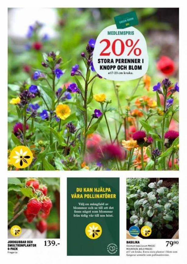 Blomsterlandet Erbjudande Aktuell Kampanj. Page 2