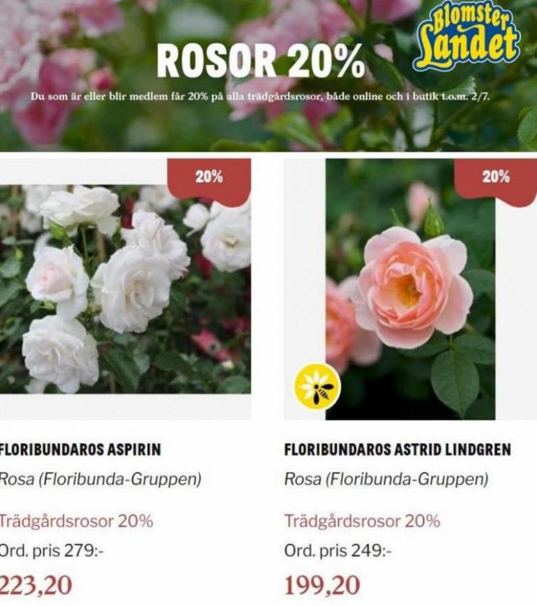 Blomsterlandet Erbjudande Rosor 20%. Page 5