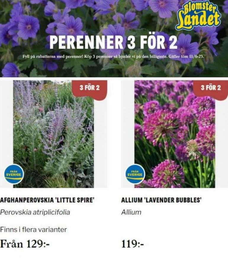 Perenner 3 för 2. Blomsterlandet (2023-06-11-2023-06-11)
