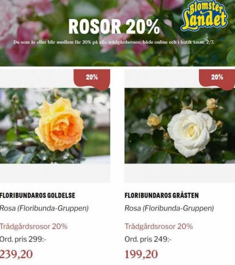 Blomsterlandet Erbjudande Rosor 20%. Page 9