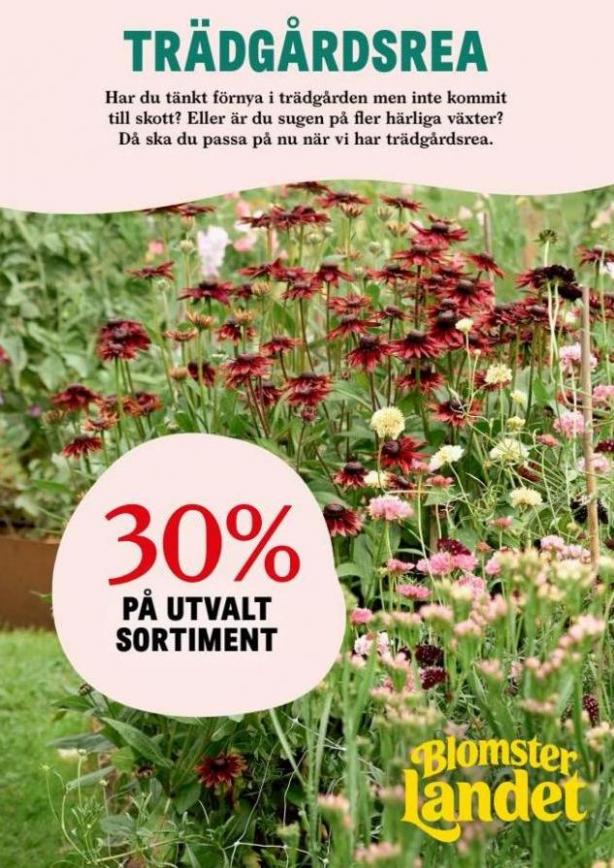 Blomsterlandet Erbjudande Aktuell Kampanj. Blomsterlandet (2023-06-25-2023-06-25)