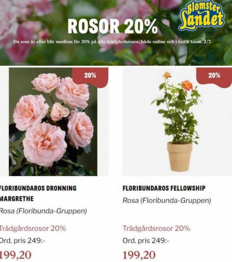 Blomsterlandet Erbjudande Rosor 20%. Page 8