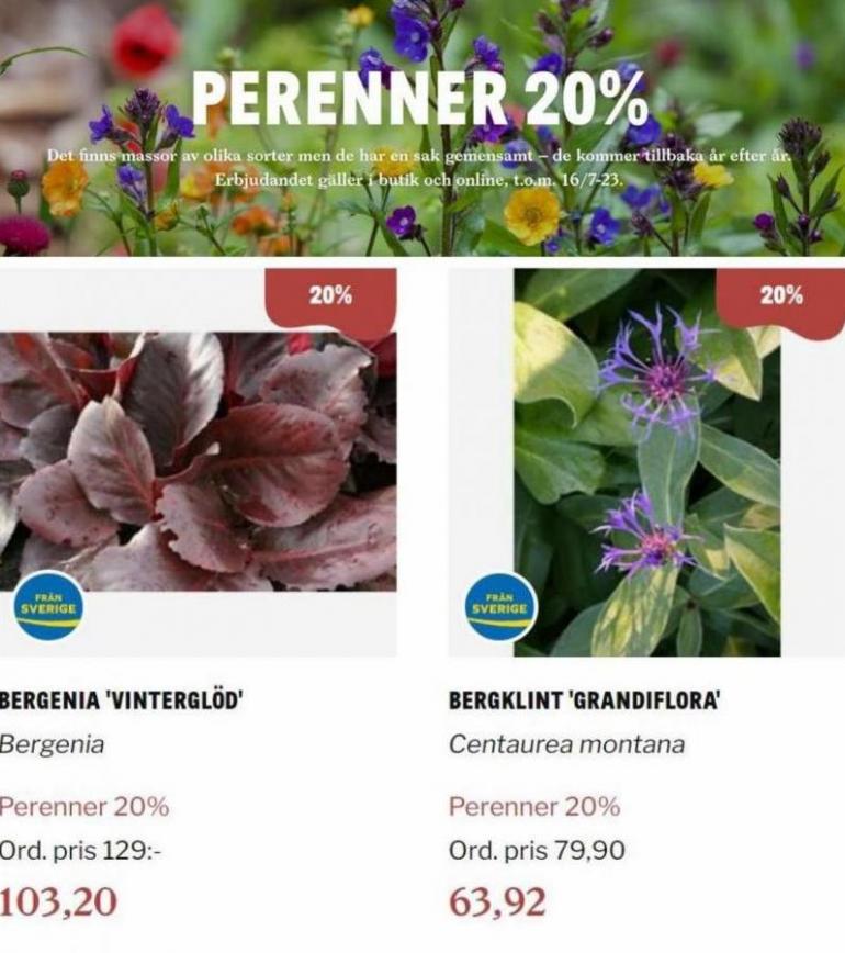 Blomsterlandet Erbjudande Perenner 20%. Page 10