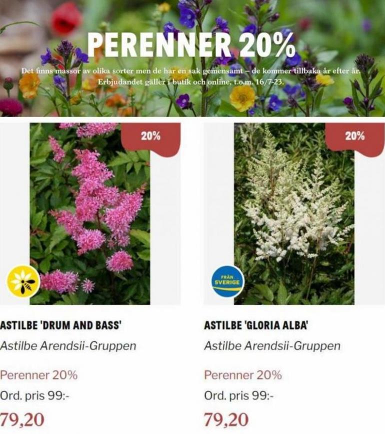 Blomsterlandet Erbjudande Perenner 20%. Page 7