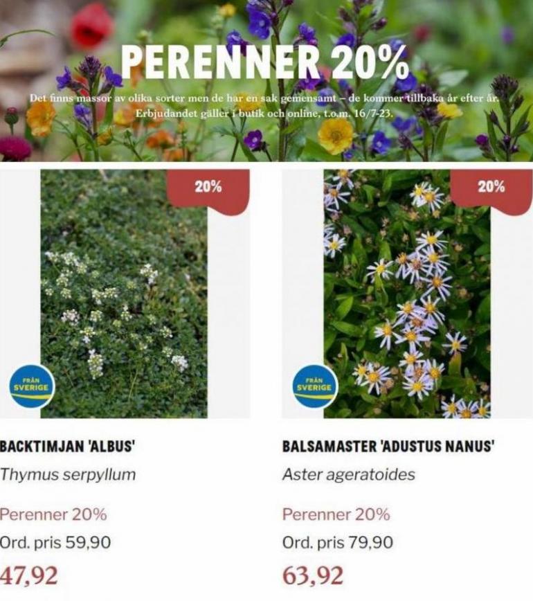 Blomsterlandet Erbjudande Perenner 20%. Page 9