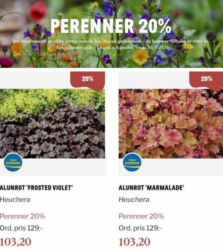Blomsterlandet Erbjudande Perenner 20%. Page 3