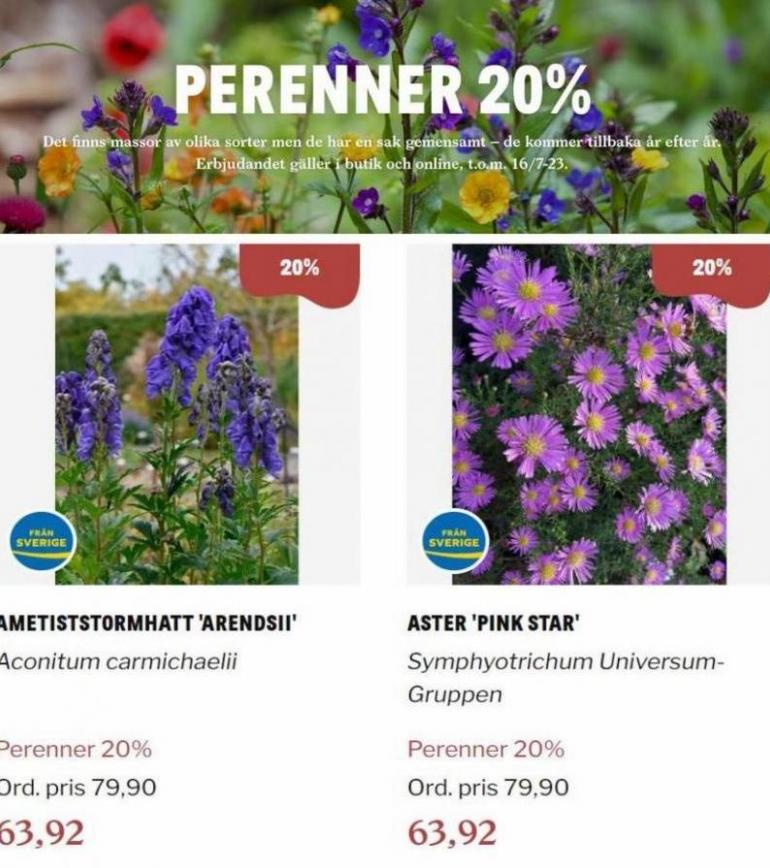 Blomsterlandet Erbjudande Perenner 20%. Page 6