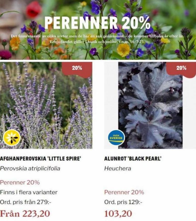 Blomsterlandet Erbjudande Perenner 20%. Page 2
