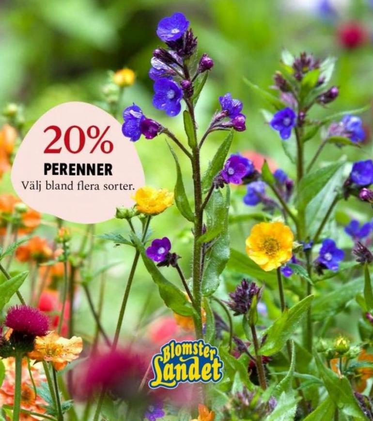 Blomsterlandet Erbjudande Perenner 20%. Blomsterlandet (2023-07-23-2023-07-23)