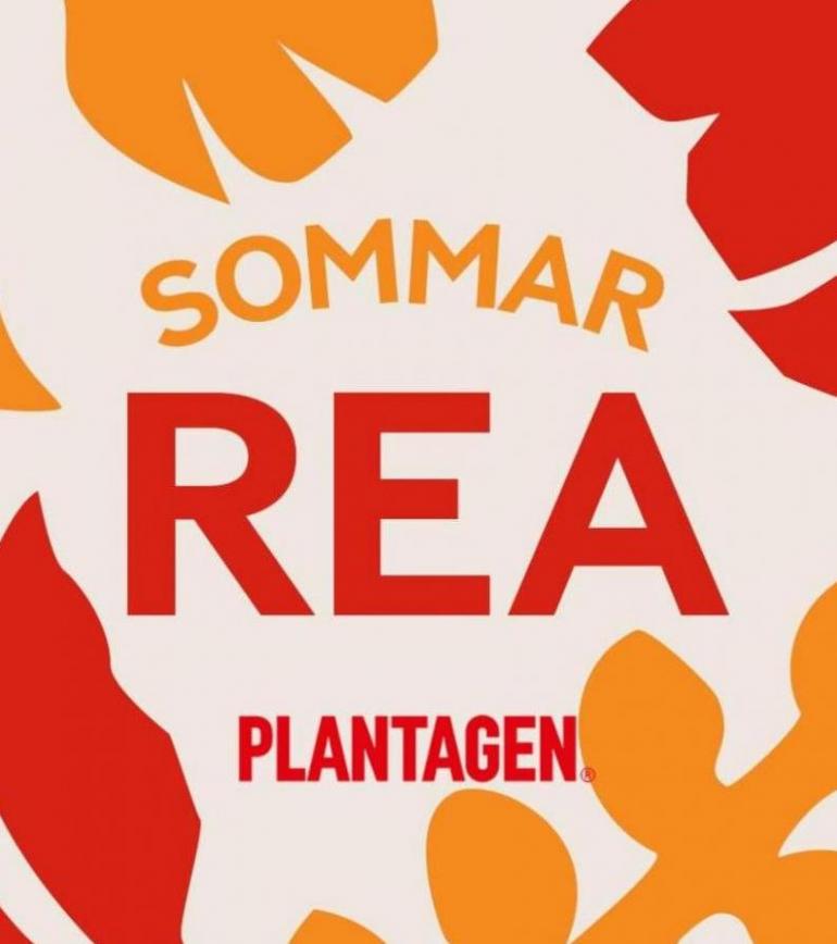 Sommarrea. Plantagen (2023-08-15-2023-08-15)