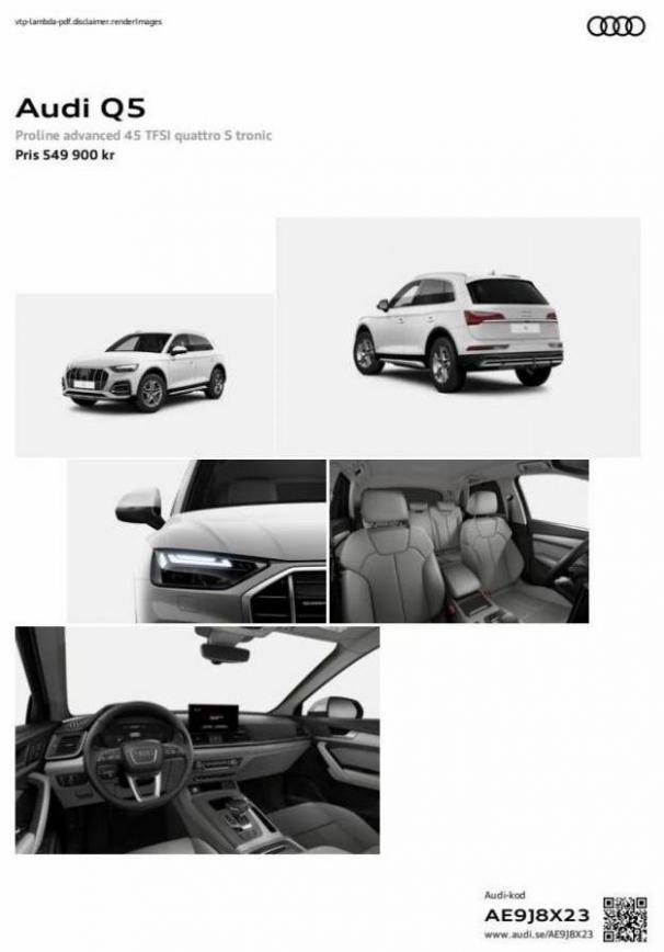 Audi Q5. Page 1