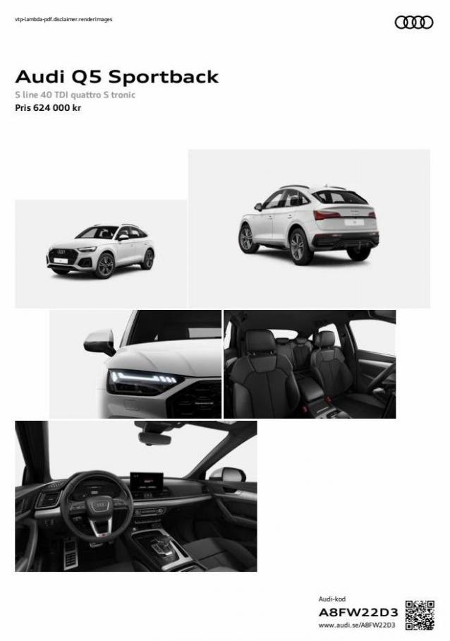 Audi Q5 Sportback. Audi (2024-08-07-2024-08-07)