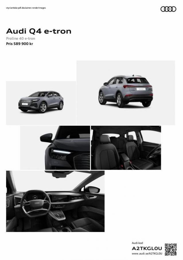 Audi Q4 e-tron. Audi (2024-08-08-2024-08-08)