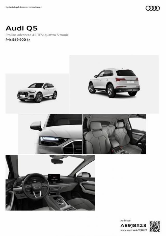 Audi Q5. Audi (2024-08-08-2024-08-08)