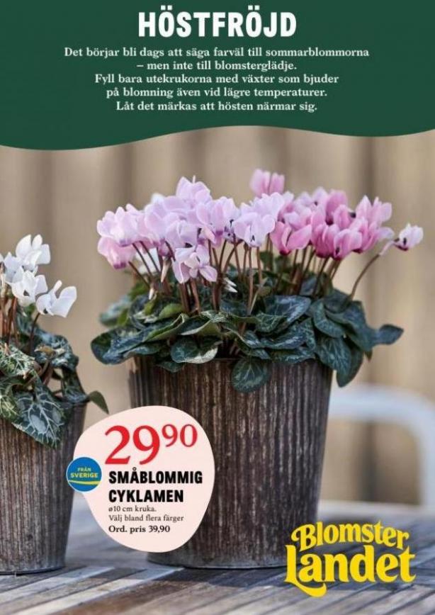 Blomsterlandet Erbjudande Aktuell Kampanj. Blomsterlandet (2023-09-24-2023-09-24)