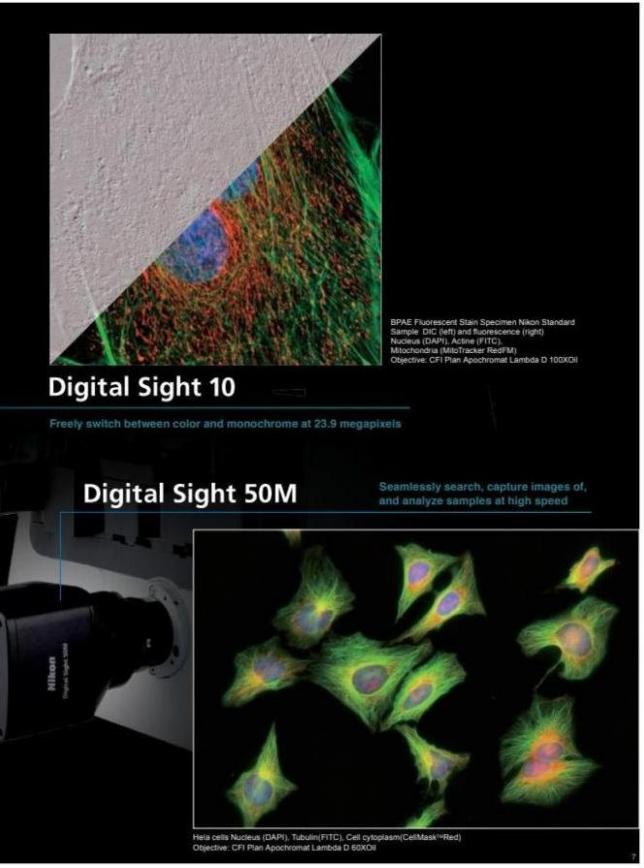 Nikon Digital Sight 50M. Page 7