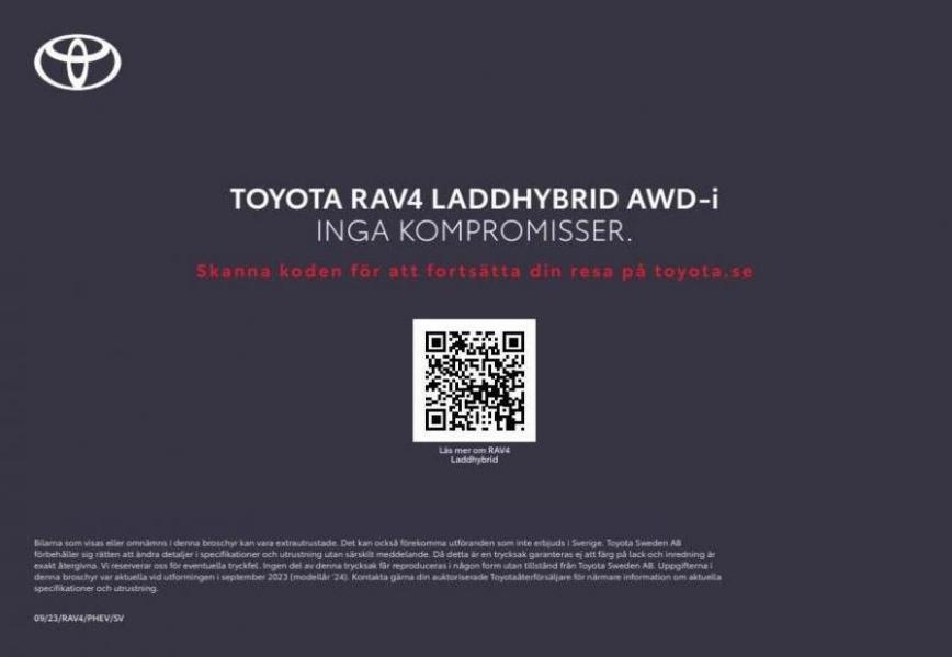 Toyota Rav4 Laddhybrid Awd-I. Page 20