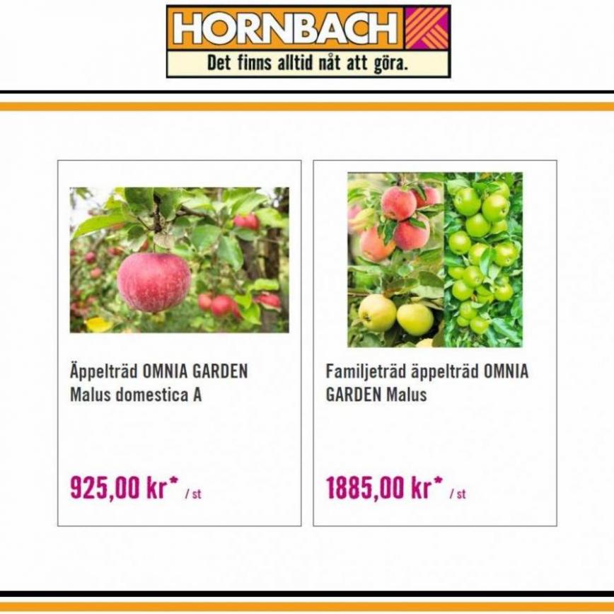 Hornbach. Hornbach (2023-11-01-2023-11-01)
