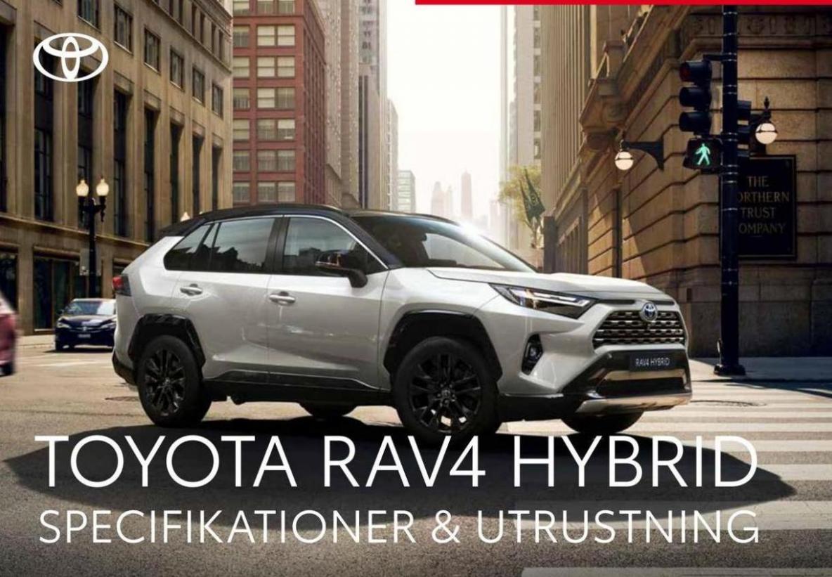 Toyota Rav4 Hybrid. Toyota (2024-10-28-2024-10-28)