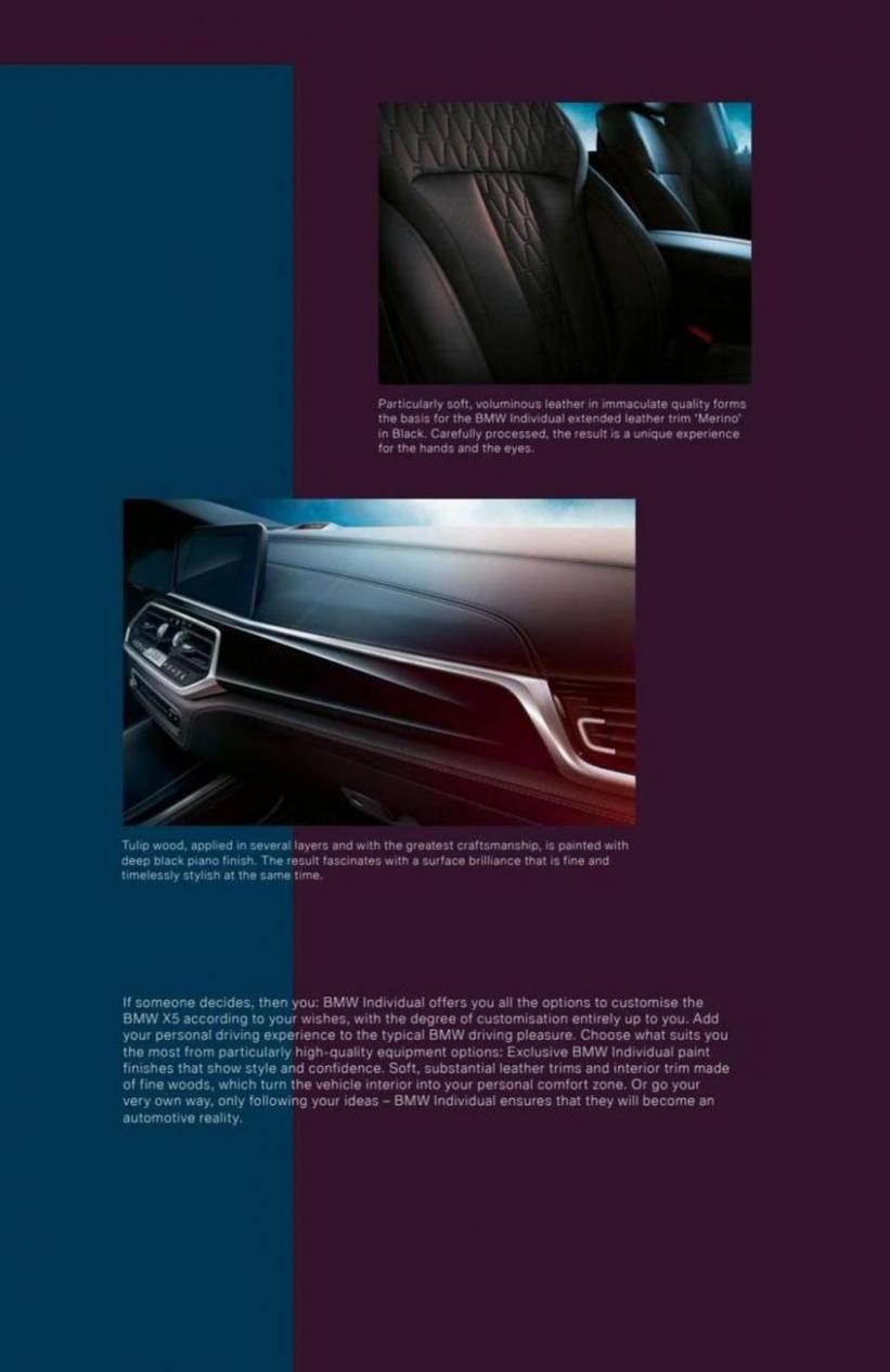 BMW The X5. Page 31