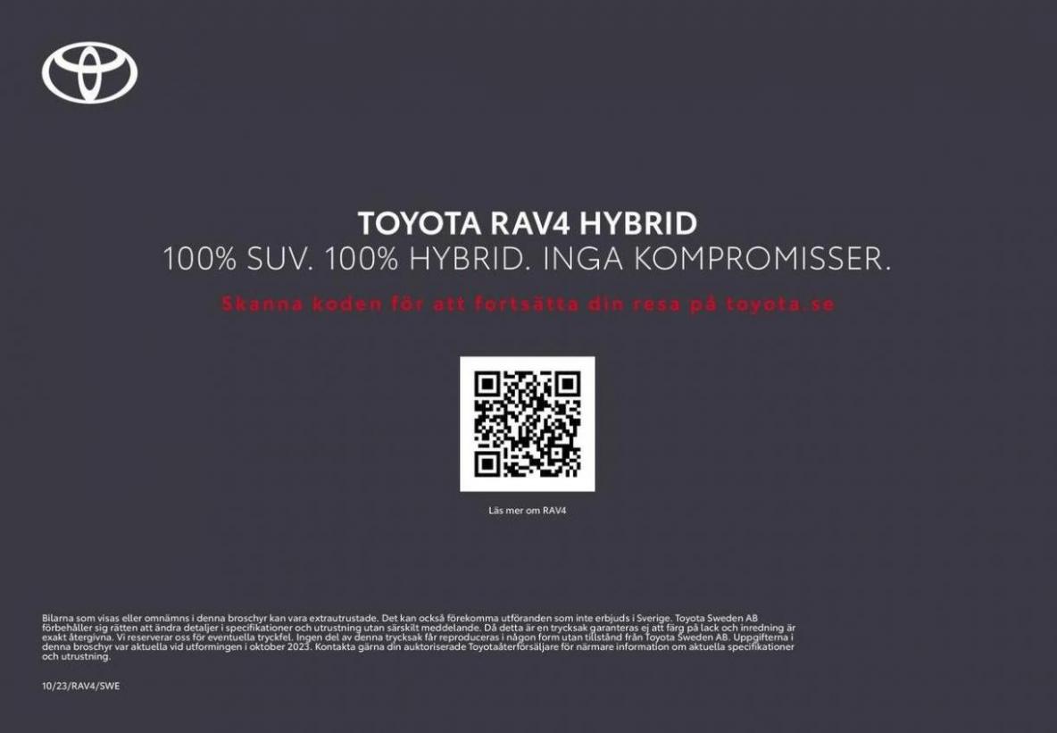 Toyota Rav4 Hybrid. Page 26