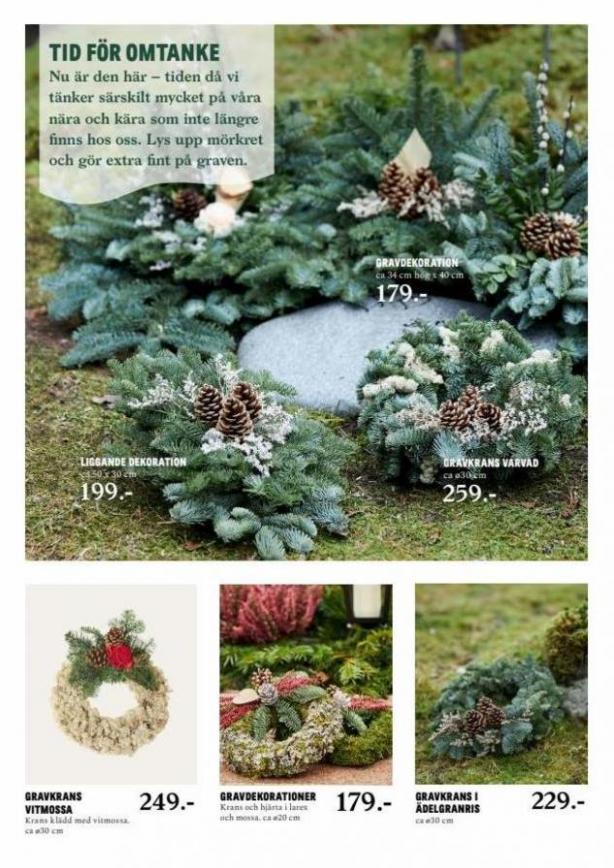 Blomsterlandet Erbjudande Julens Drottning. Page 2
