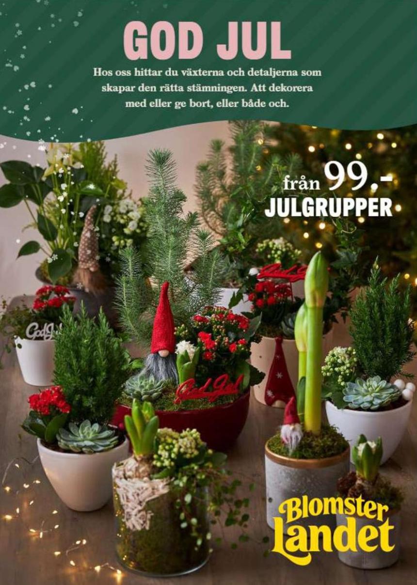 God Jul. Blomsterlandet (2023-12-31-2023-12-31)