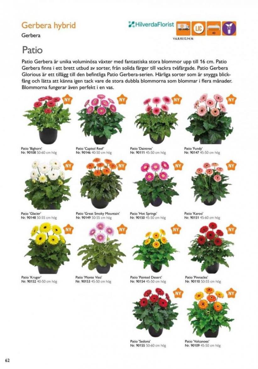 Vårens utplanteringsväxter 2024. Page 60