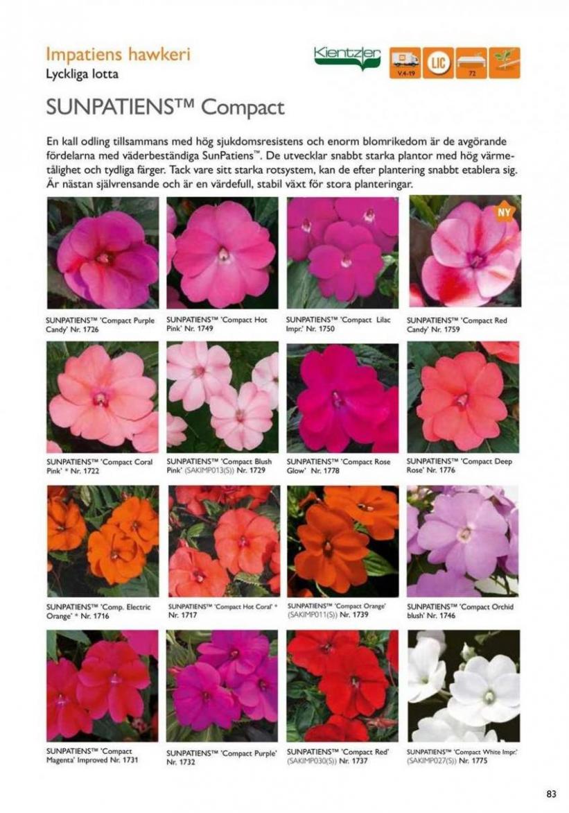 Vårens utplanteringsväxter 2024. Page 81