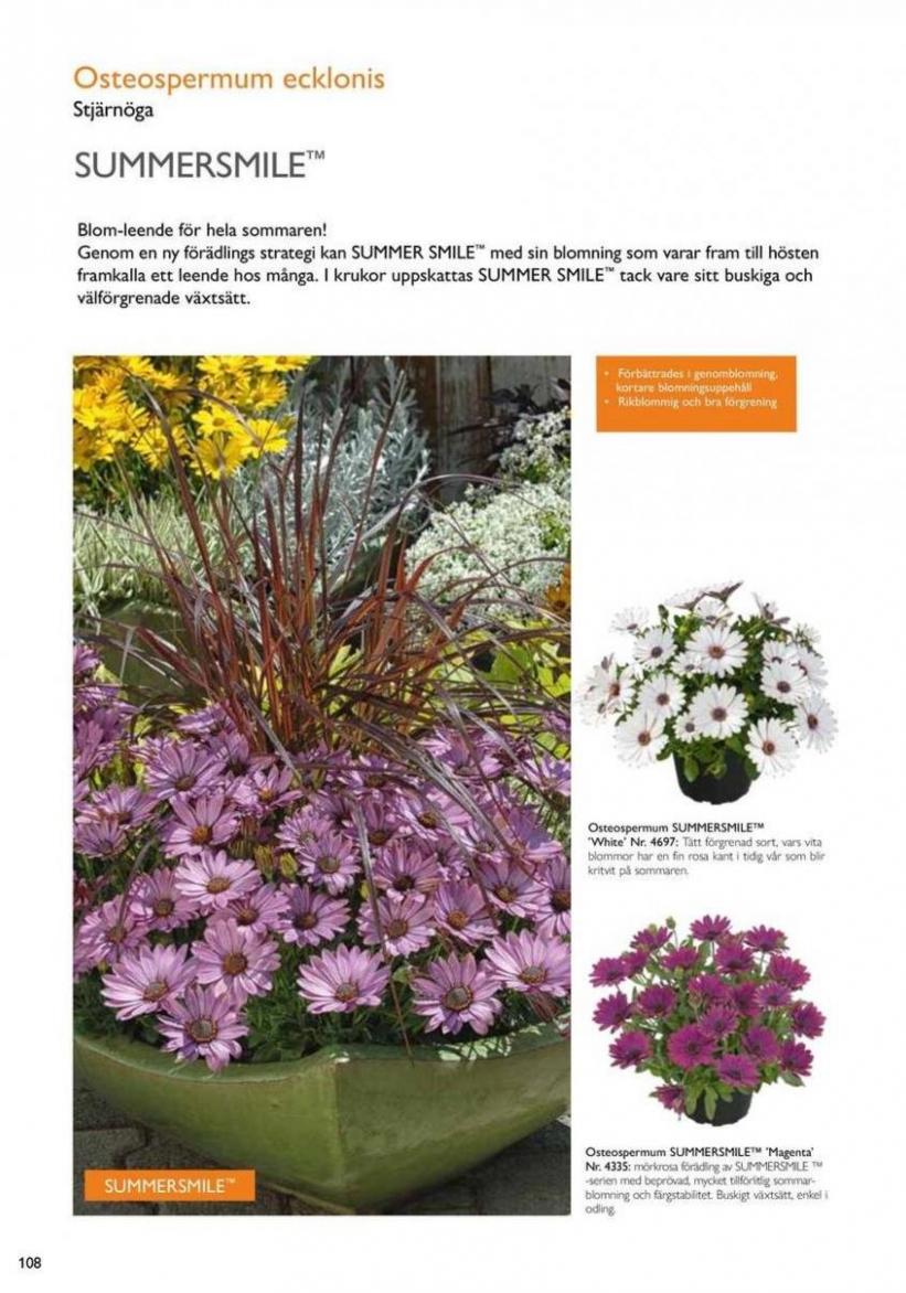 Vårens utplanteringsväxter 2024. Page 106