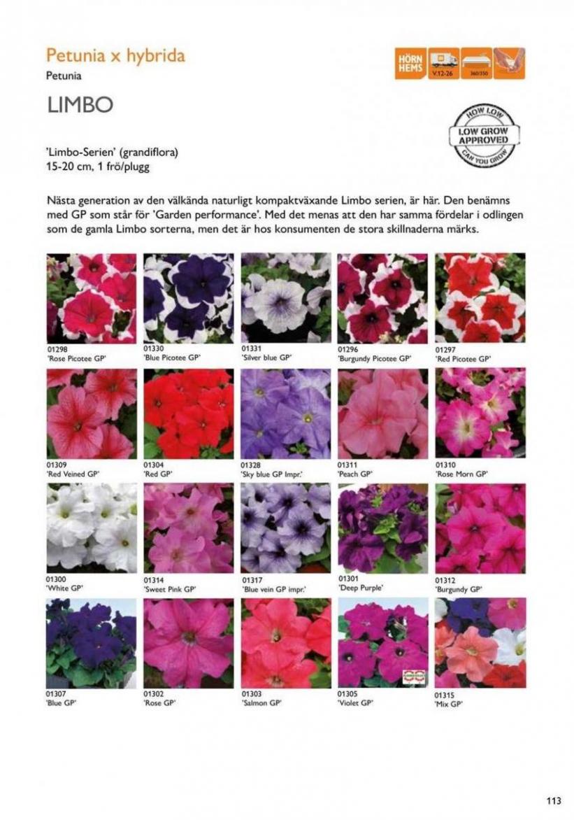 Vårens utplanteringsväxter 2024. Page 111