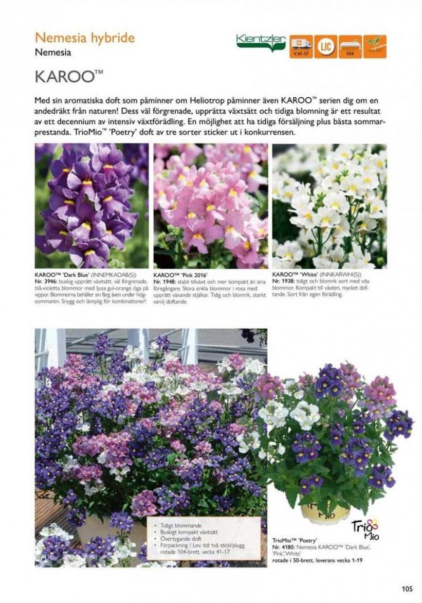Vårens utplanteringsväxter 2024. Page 103