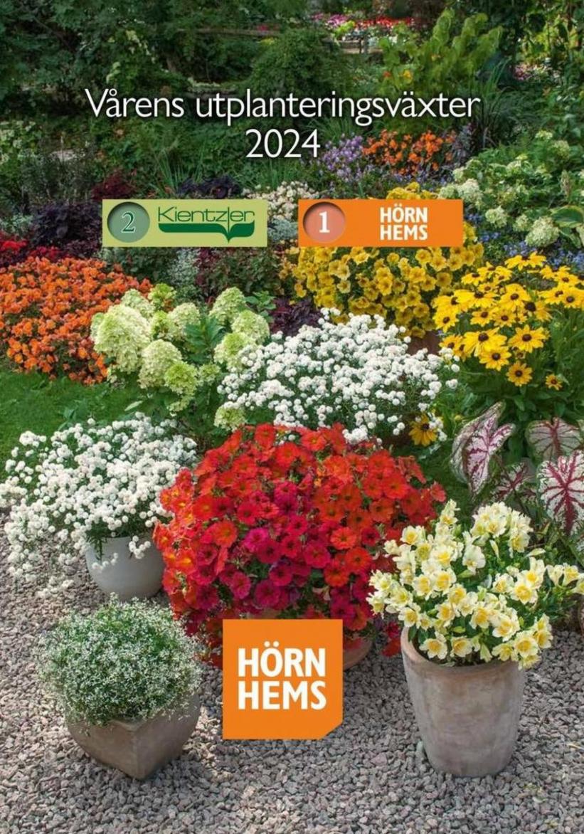 Vårens utplanteringsväxter 2024. Harald Nyborg (2024-12-31-2024-12-31)