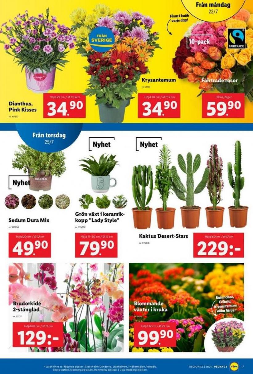 Aktuella deals och erbjudanden. Page 19